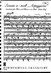 partituras - schubert - sonata arpeggione (parte flauta).pdf