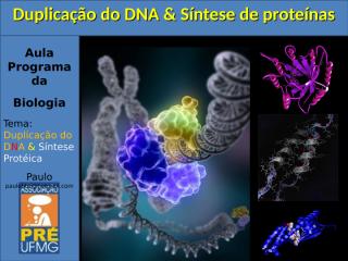 Aula Ácidos Nucleicos - Duplicação do DNA e Síntese Protéica.ppt