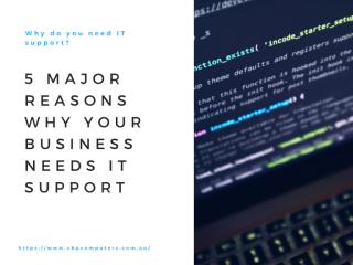 Why Do You Need IT Support 5 Reasons Why Your Business Needs IT Support.pdf